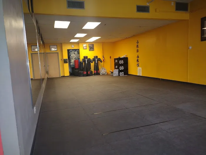 Shorin Ryu Minnesota Karate Picture 5