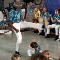 Capoeira Minnesota ico