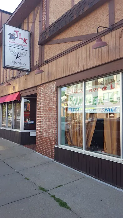 Tomorrow's Leading Knights:The Hwa Rang Do Youth Corps Picture 4