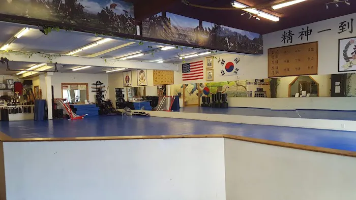 Tomorrow's Leading Knights:The Hwa Rang Do Youth Corps Picture 1