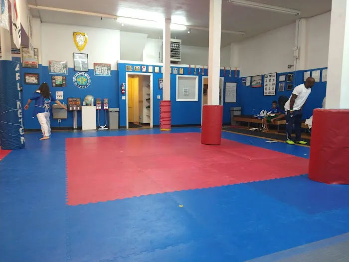 Master Nick's Elite TaeKwonDo Picture 7