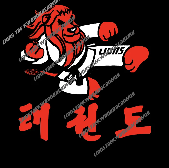 Lions Tae Kwon Do Academy Picture 3