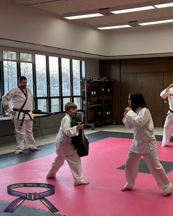 Beacon Martial Arts Picture 2