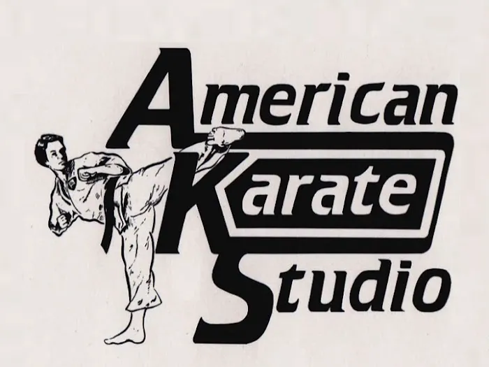 American Karate Studio Picture 2