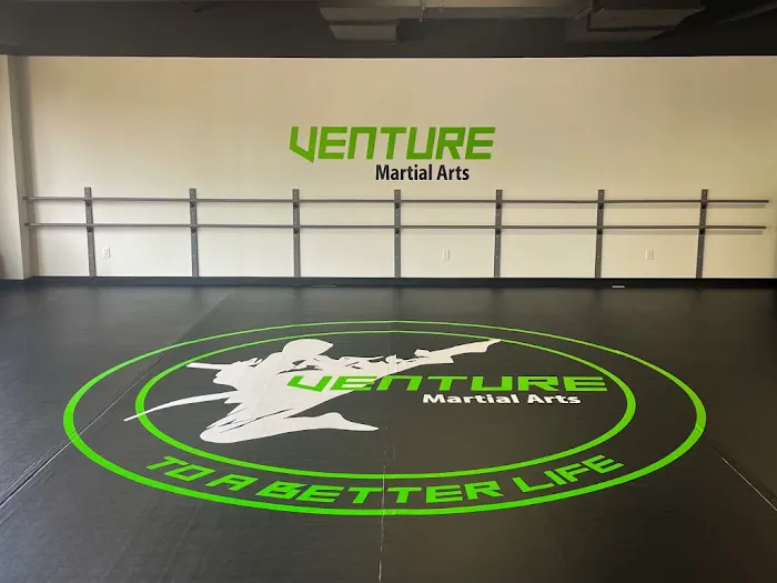 Venture Martial Arts Picture 3