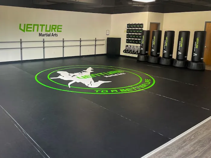 Venture Martial Arts Picture 10