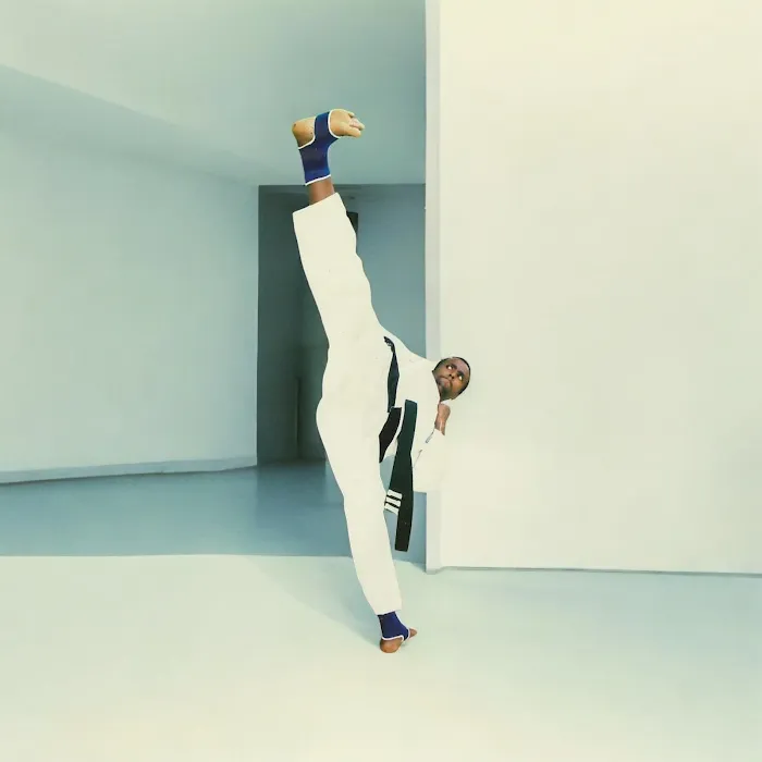 Master Hassen Martial Arts Academy Picture 4