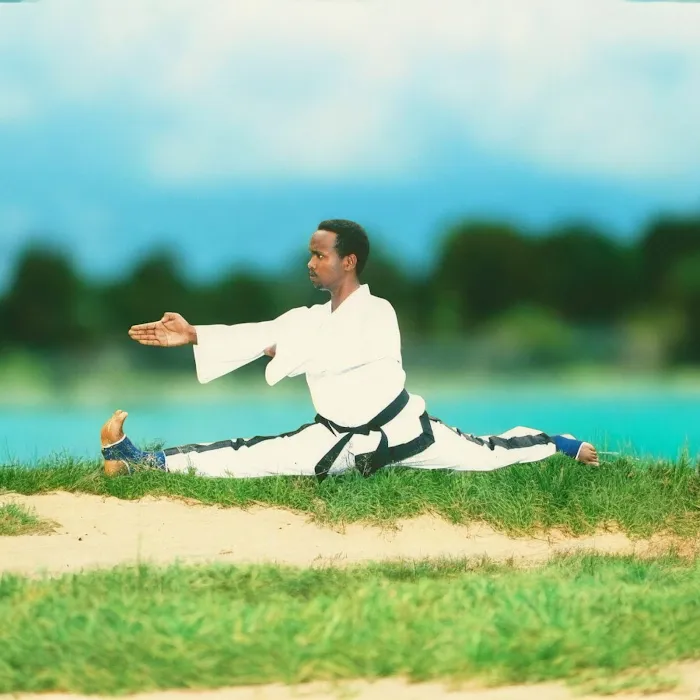 Master Hassen Martial Arts Academy Picture 5