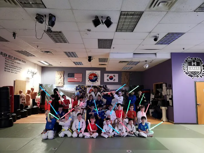 Lee's Champion Taekwondo Academy Picture 2