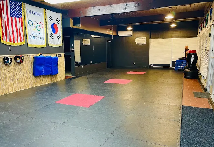 Indomitable Spirit Taekwondo Picture 4
