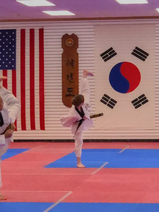 Indomitable Spirit Taekwondo Picture 1