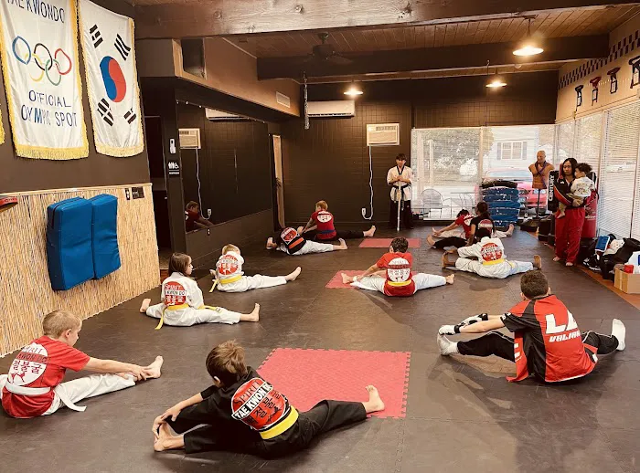 Indomitable Spirit Taekwondo Picture 7