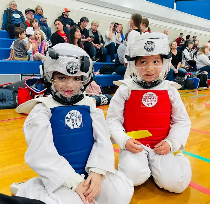 Indomitable Spirit Taekwondo Picture 10