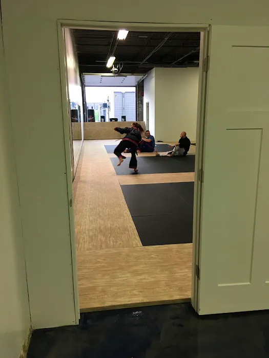 The Art MMA Picture 5