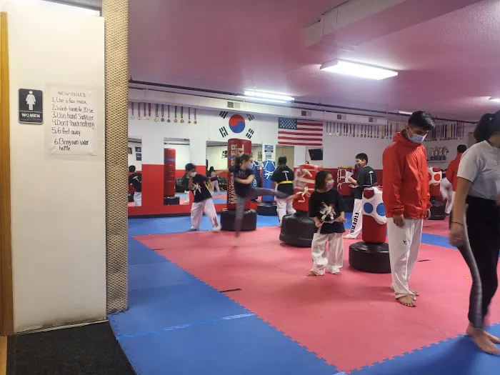 Tigers Taekwondo Picture 4