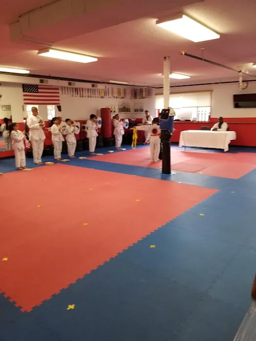 Tigers Taekwondo Picture 3