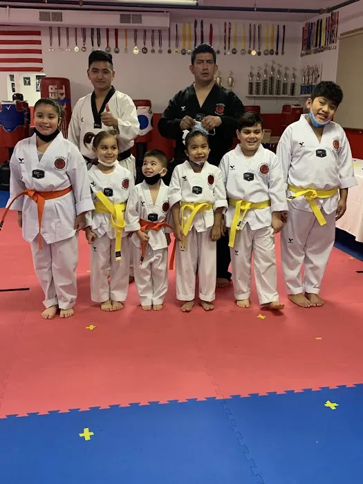 Tigers Taekwondo Picture 2