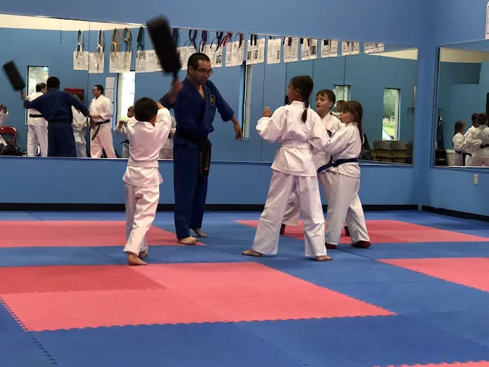American Karate Studio Picture 1