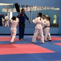 American Karate Studio ico