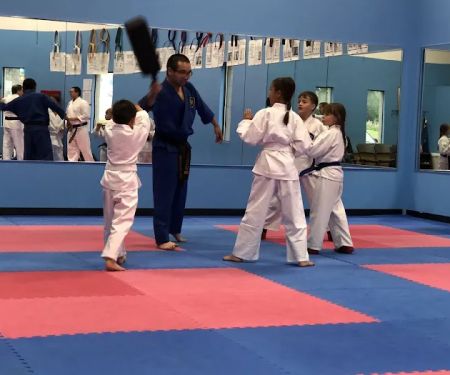 American Karate Studio
