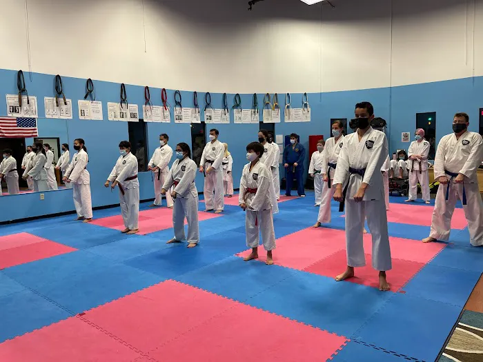 American Karate Studio Picture 3