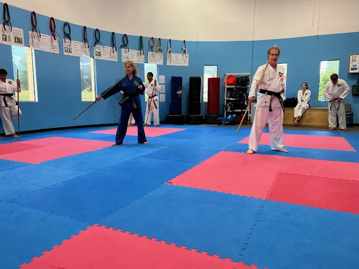 American Karate Studio Picture 7