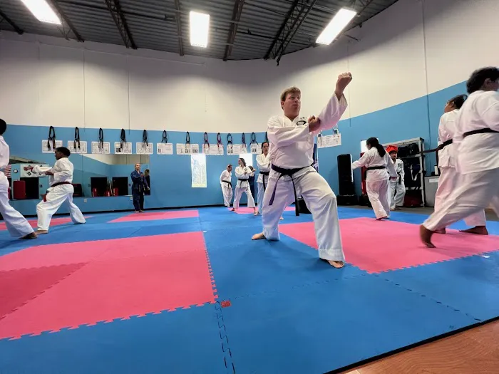 American Karate Studio Picture 8