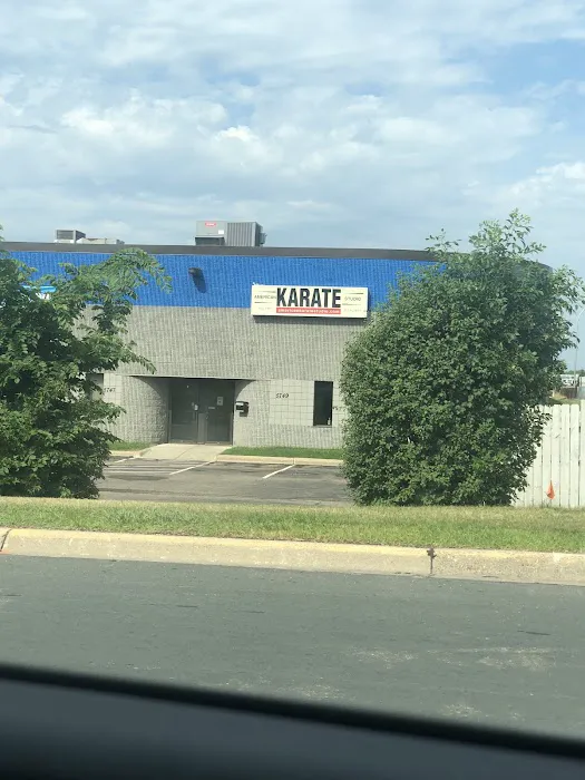 American Karate Studio Picture 6
