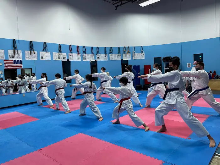 American Karate Studio Picture 10
