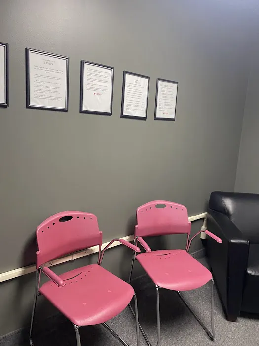 World Jiu Jitsu Academy Picture 7