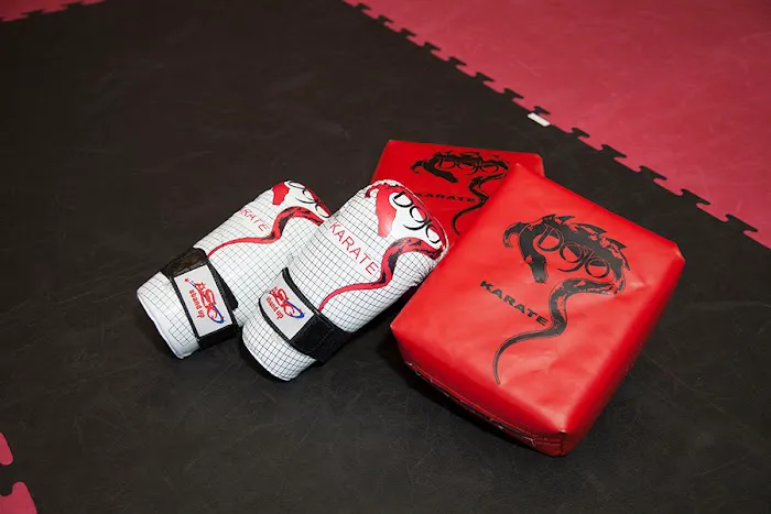 Dojo Karate - Minnetonka Picture 7