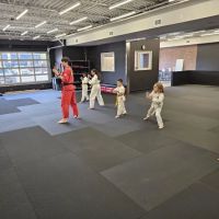 National Karate Schools ico