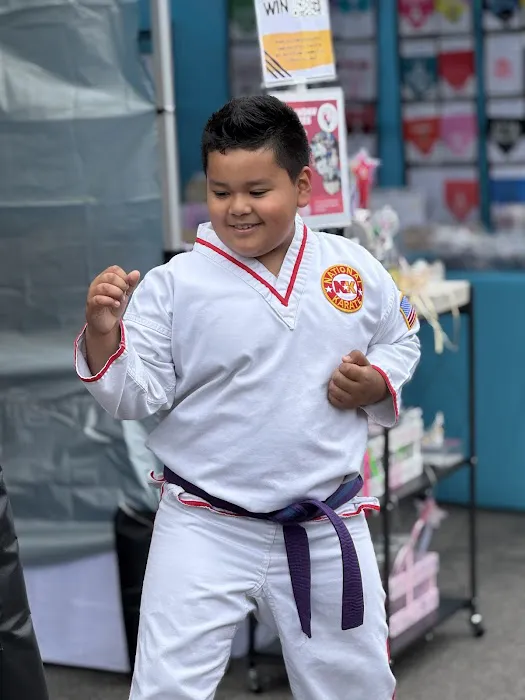 National Karate Schools Picture 2