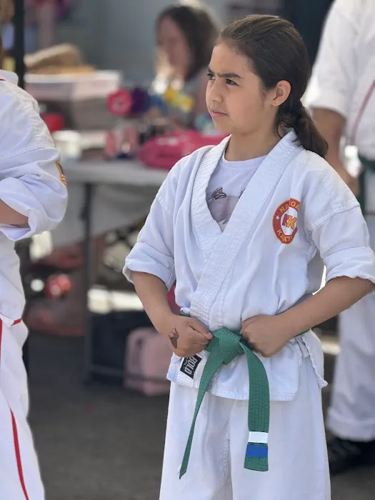 National Karate Schools Picture 8