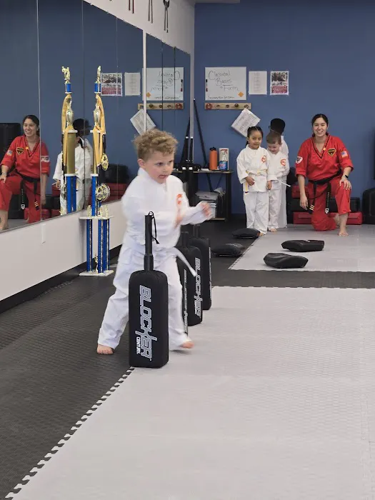 National Karate Schools Picture 9