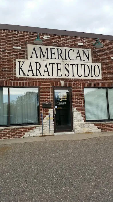 American Karate Studio Picture 1