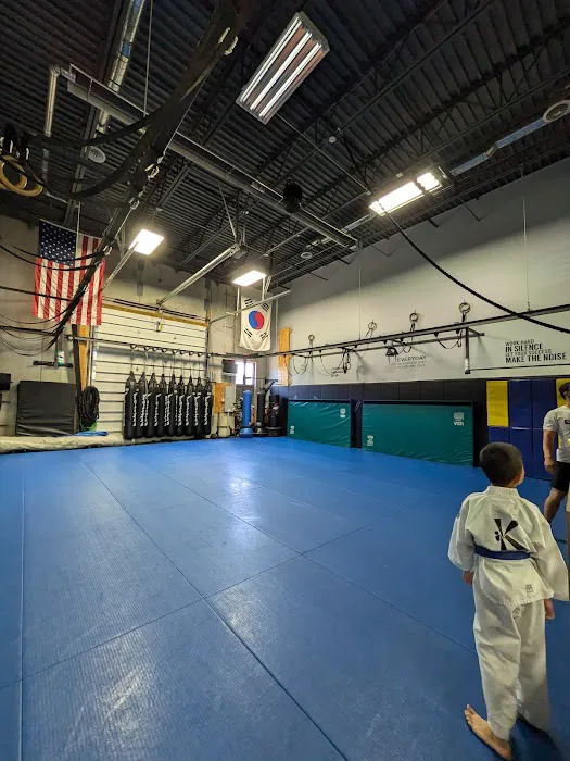 Kukkiwon Taekwondo Academy Picture 4