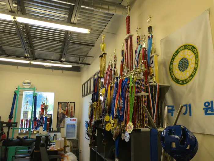 Kukkiwon Taekwondo Academy Picture 3