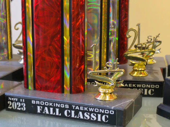 Kukkiwon Taekwondo Academy Picture 6