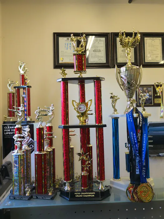 Kukkiwon Taekwondo Academy Picture 7