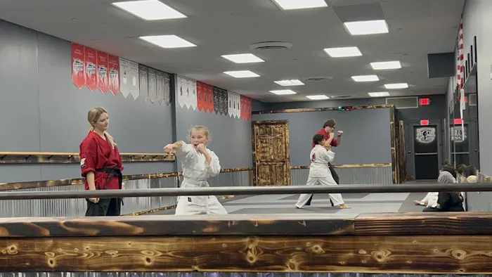 Professional Karate Studios - Centennial Lakes Picture 1