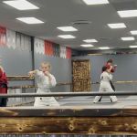 Professional Karate Studios - Centennial Lakes