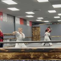Professional Karate Studios - Centennial Lakes ico