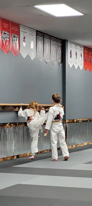 Professional Karate Studios - Centennial Lakes Picture 2