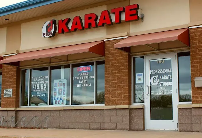 Professional Karate Studios - Centennial Lakes Picture 4