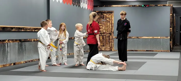 Professional Karate Studios - Centennial Lakes Picture 3