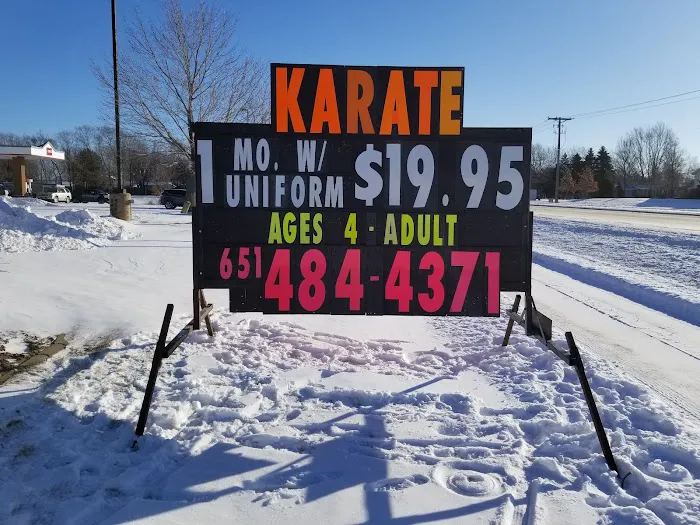 Professional Karate Studios - Centennial Lakes Picture 7