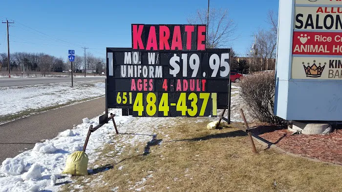 Professional Karate Studios - Centennial Lakes Picture 8