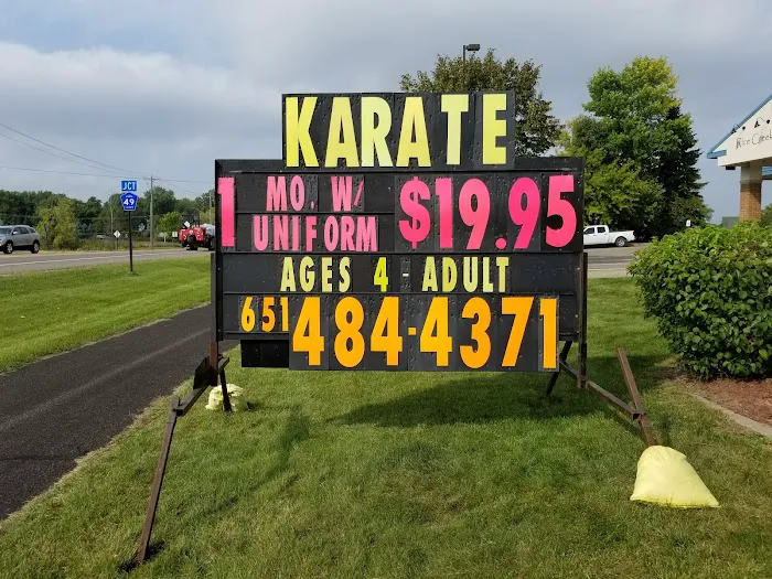 Professional Karate Studios - Centennial Lakes Picture 6