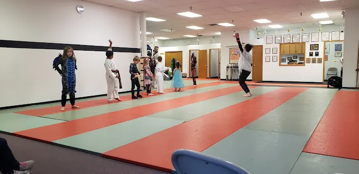 Martial Arts Academy of Tang Soo Do - MN Picture 3